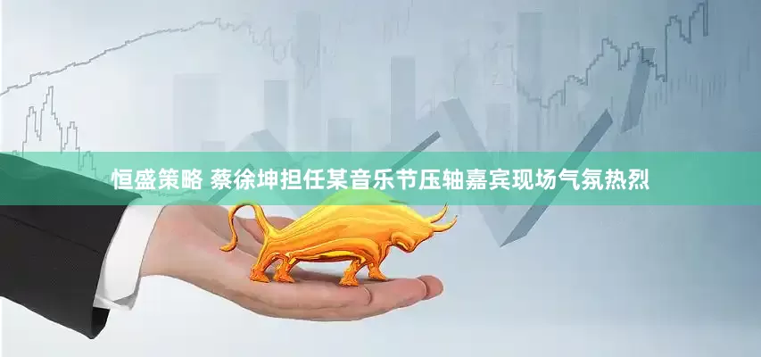 恒盛策略 蔡徐坤担任某音乐节压轴嘉宾现场气氛热烈